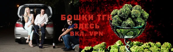 ПСИЛОЦИБИНОВЫЕ ГРИБЫ Медногорск
