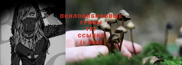mix Медвежьегорск