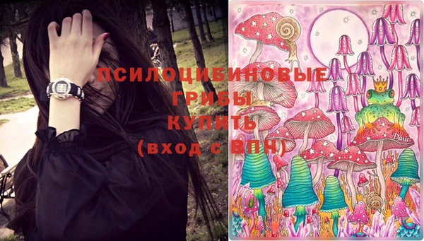 spice Михайловск