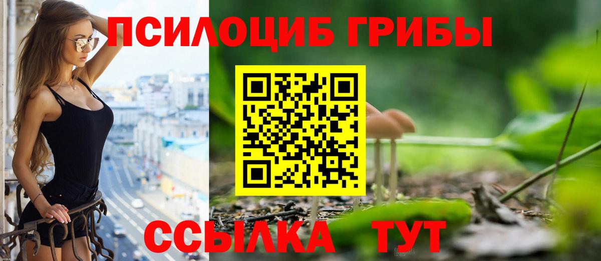 Псилоцибиновые грибы GOLDEN TEACHER  Галлюциногенные грибы прущие грибы  Курск 